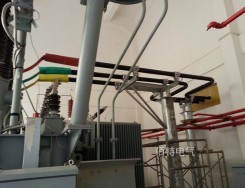 10kV1600A半绝缘铜管型91视频APP推广