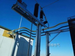 35kV3150A半绝缘铜管型91视频APP推广